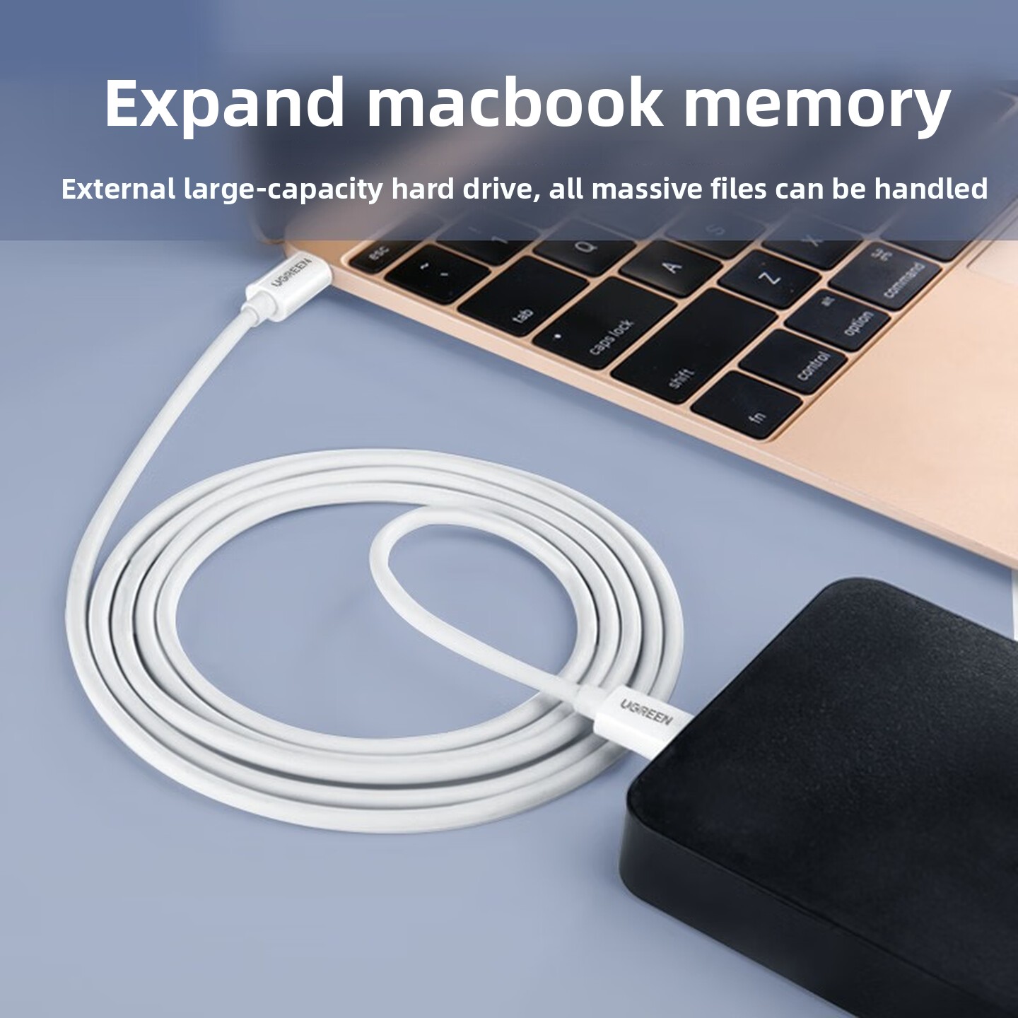 UGREEN USB2.0 Type C To Mini U - Desk Setup Ipad のレビューと価格