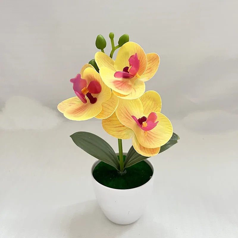 1Pcs 20CM Simulation Plants Po - Desk Setup At Home のレビューと価格