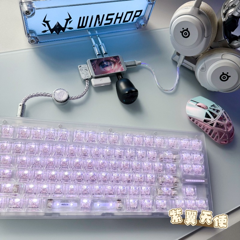 WINSHOP Esports HUB Dual-In 4- - Desk Setup Usb Hub のレビューと価格